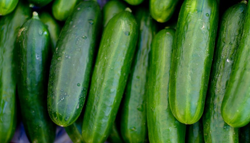 Make your family a healthy dish by steaming zucchini for dinner.