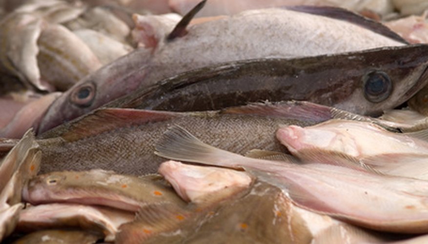 A wide variety of fish are available in a number of different cuts.