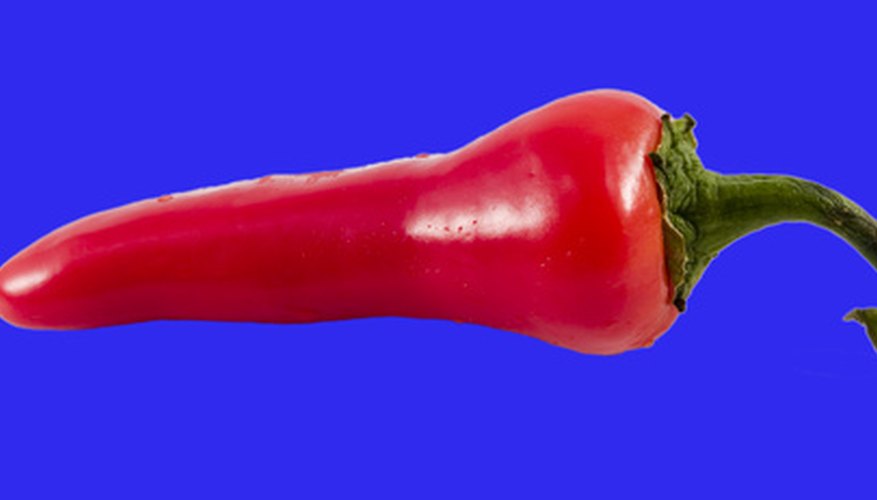 A ripened chipotle pepper