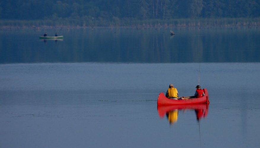 Photo Credit: fishing 1 image by Sorin Alb from <a href='http://www.fotolia.com'>Fotolia.com</a> Crappie and largemouth bass are two fish species found in Lake Sullivan.