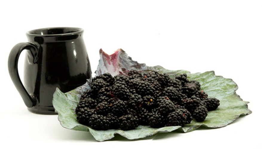 Blackberry vinegar can be used for medicinal or culinary purposes.