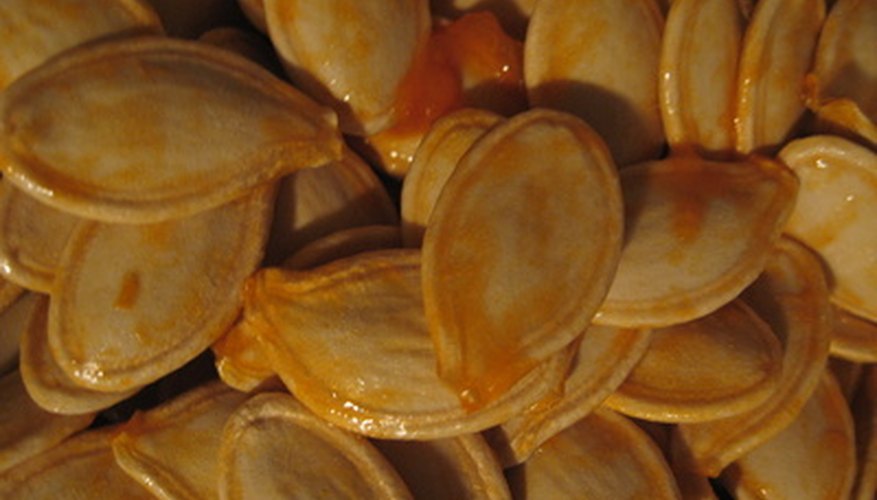 Remove the shells from pumpkin seeds to enjoy the kernels.