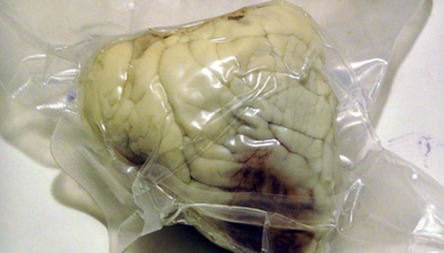 Sheep heart.