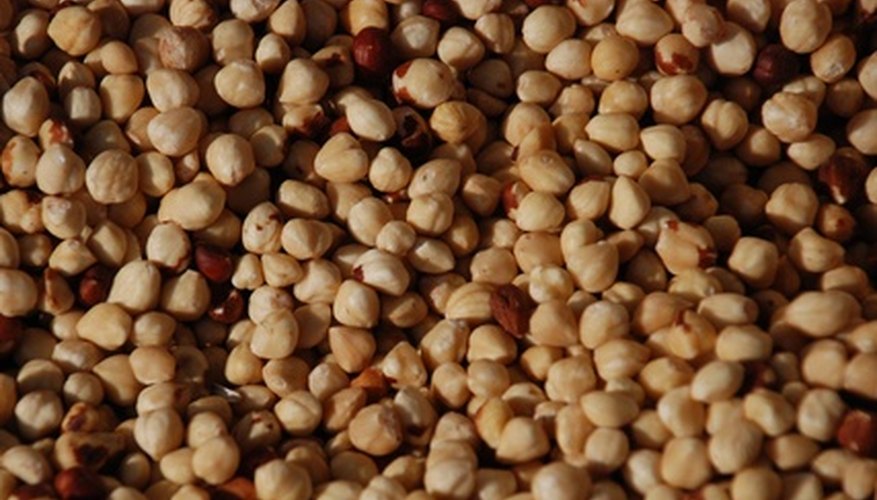 Hazelnuts can be used in many different recipes.
