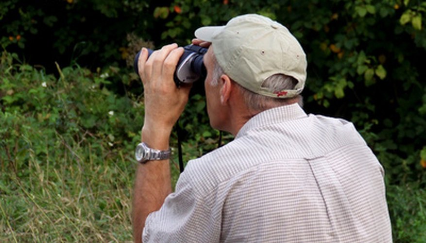 Observation can yield valuable first-hand information.