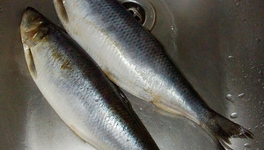 Schmaltz herring are fatty herring cured in salt, then pickled.
