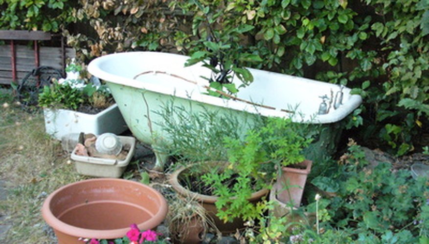 Old bathtubs can make terrific container ponds.