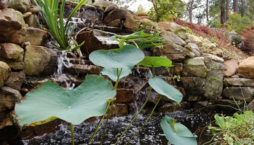Controlling water flow to your pond will help the water stay clear.