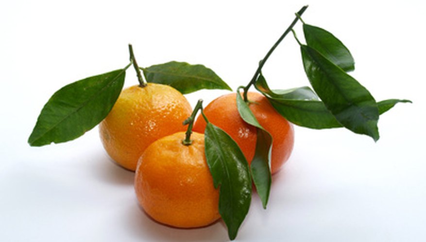 Clementines are in season during the winter months.