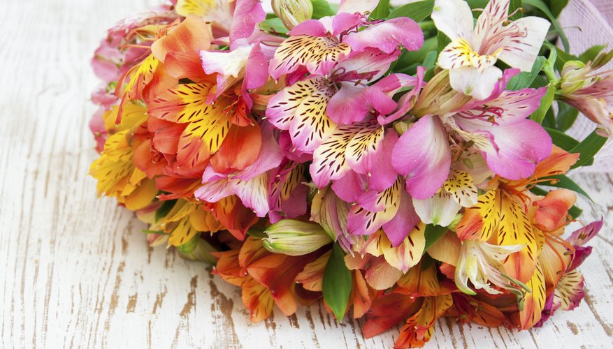 A bouquet of alstroemeria flowers.