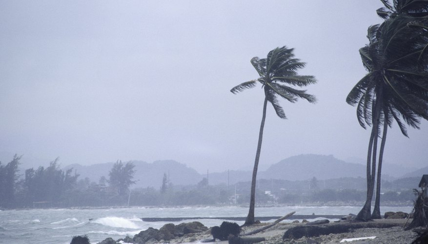 Strong winds can cause mechanical weathering of rocks.