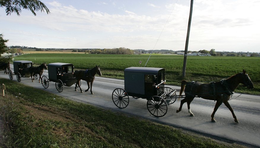 Many people in the Amish community believe forgiveness is one of the chief reasons members remain close.