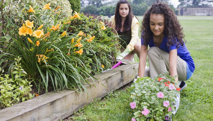 Harness the energy of kids in community service