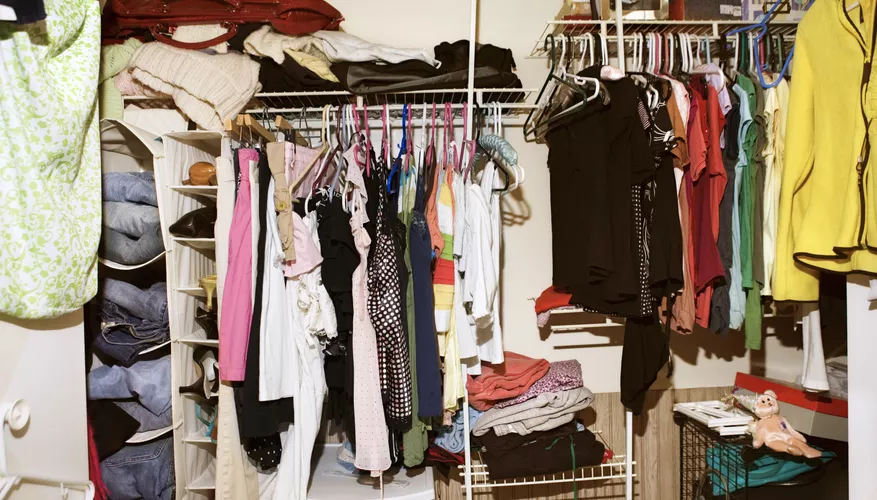 THE TINY BLACK BUGS THAT GET INTO CLOTHING