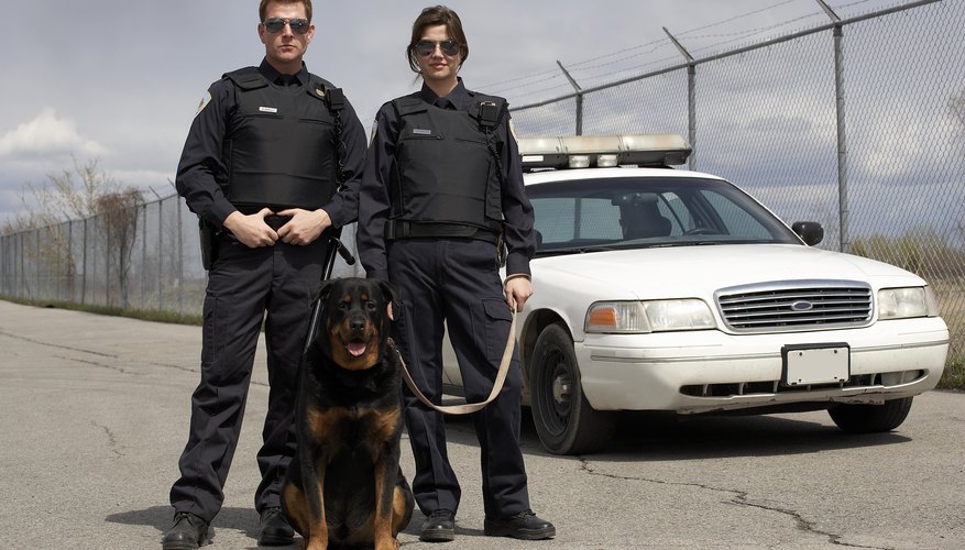 A modified BDU is typically worn by police K-9 officers.