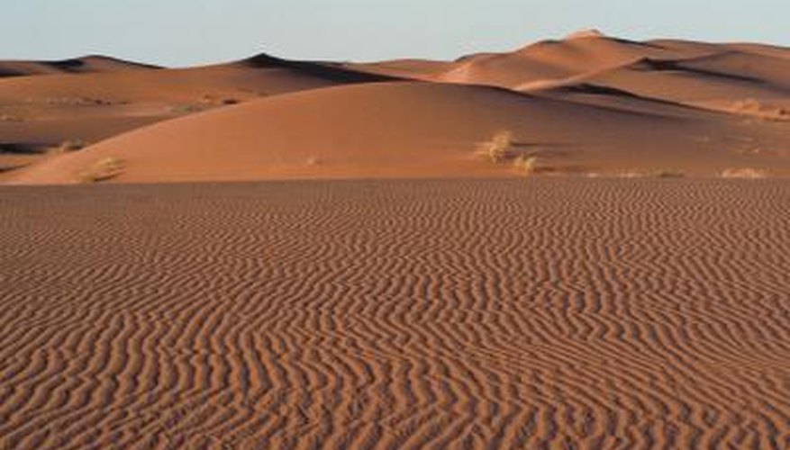 Some of the world's deserts are situated among plains.
