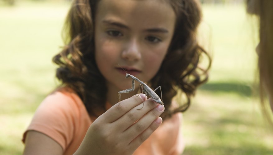 Keep the real thing outdoors by letting some crafty alternatives inside.