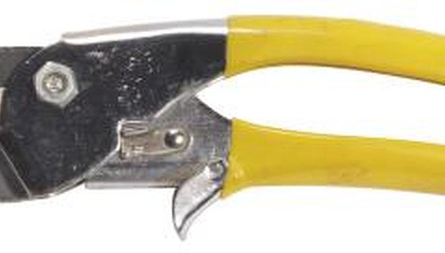 Hand pruners are likely the only tool you will need for pruning most of Sarcococca hook.