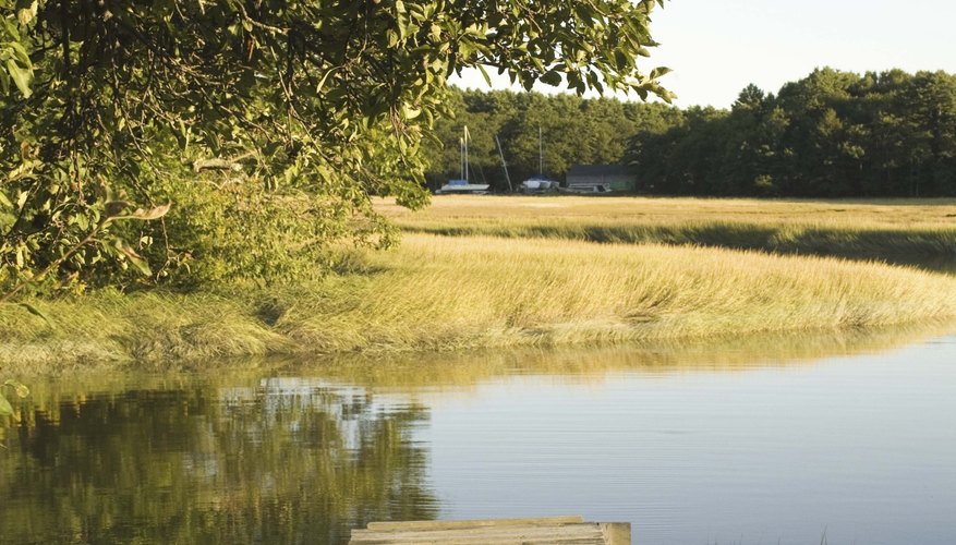 A quiet place can be anywhere that works for you.