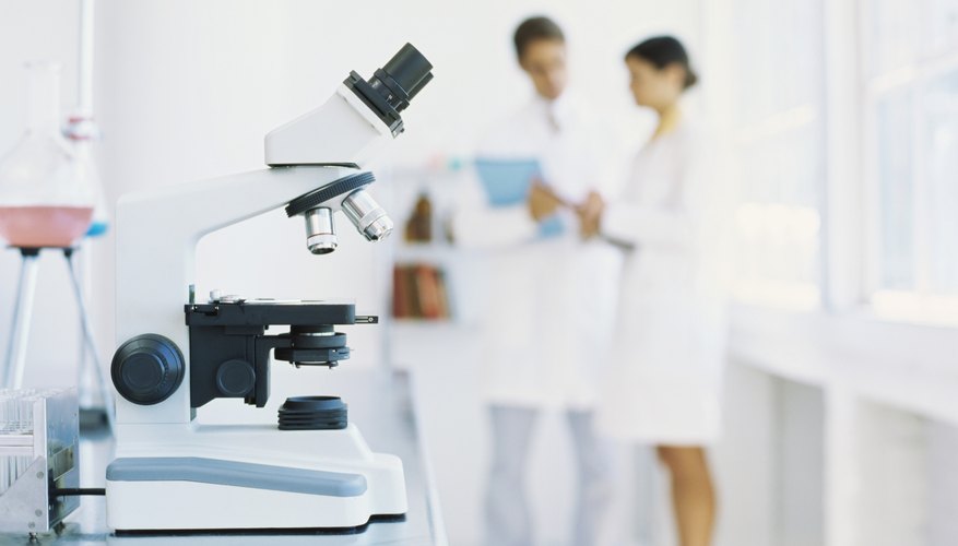 The best microbiology programs combine classroom instruction with hands-on research.