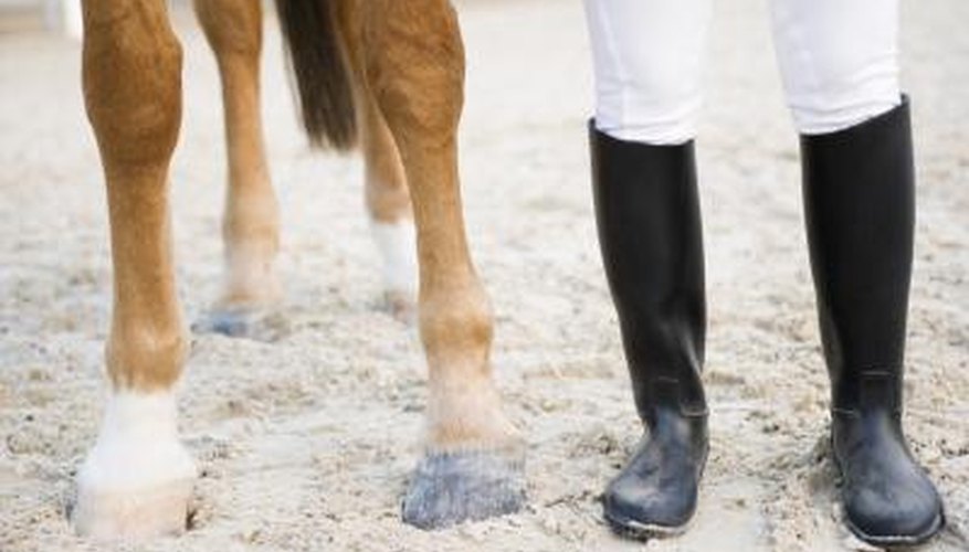 Splints pop on a horse's lower leg, below the knee, on front and back legs.