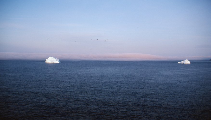 Tsno free term papers on global warming