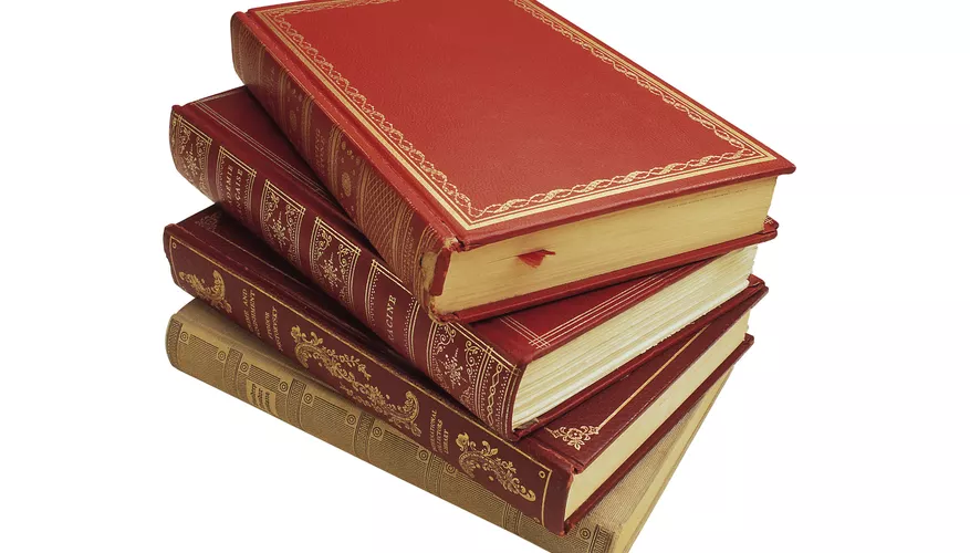 WHAT KIND OF BUG EATS BOOKS