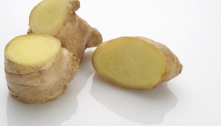 Ginger is a pungent root herb.
