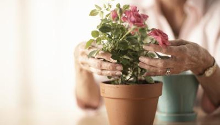 Use glues intended for porous surfaces when working with flowerpots.