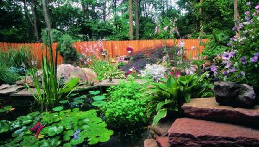 Rocks and water are the building blocks of backyard ponds and brooks.
