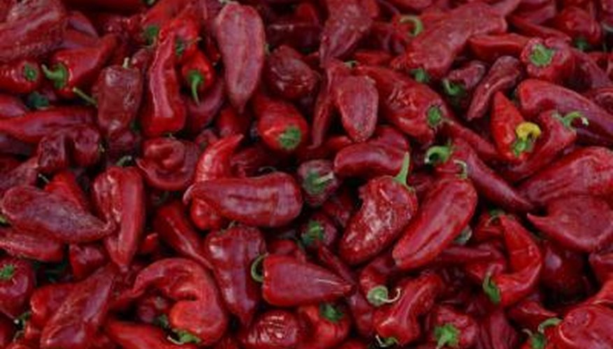 Ground red peppers create the zippy flavour of paprika.