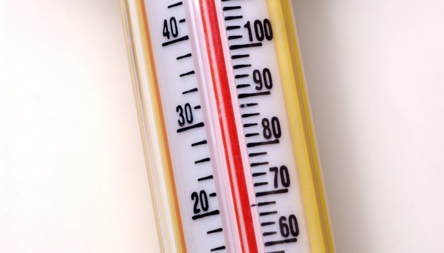 Weather Thermometers: How Do They Work and Why You Need One - Maximum  Weather Instruments