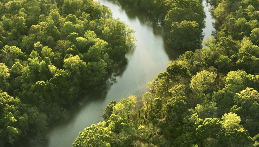 Animist beliefs focus on the natural world.