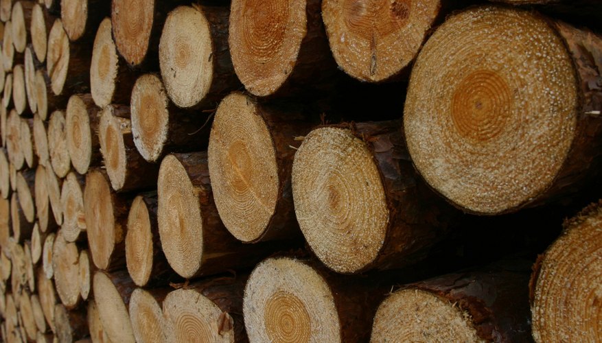 Photo Credit: Hemera Technologies/AbleStock.com/Getty Images A kiosk at the campground sells firewood, which is illegal to collect from the surrounding forest.