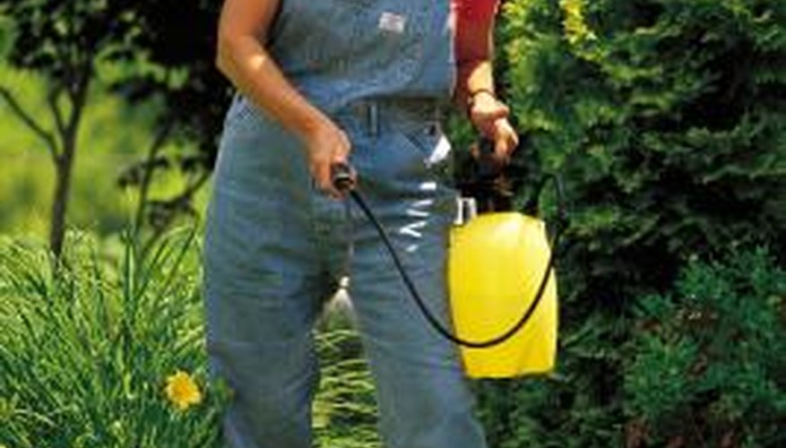 Improper weed killer use harms humans, plants and the environment.