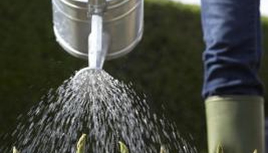 Wetting agents increase your garden's water retention.