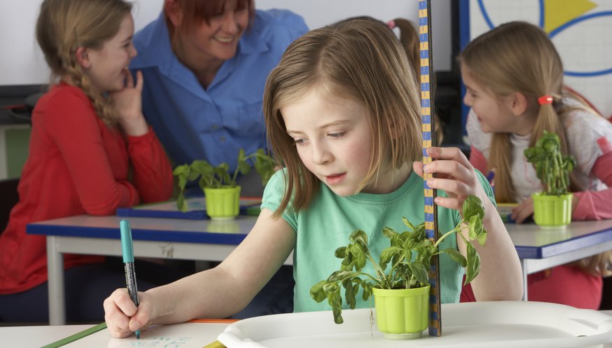 A girl writing notes next to a potted plant in a classroom