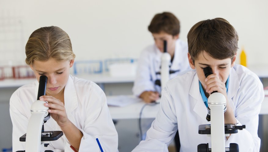 Valuing Science