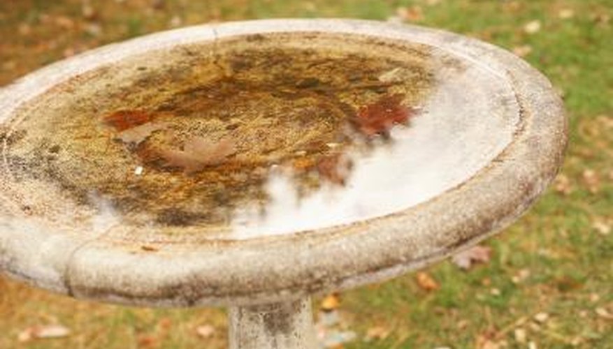 Cracks and chips in a concrete birdbath can be repaired.