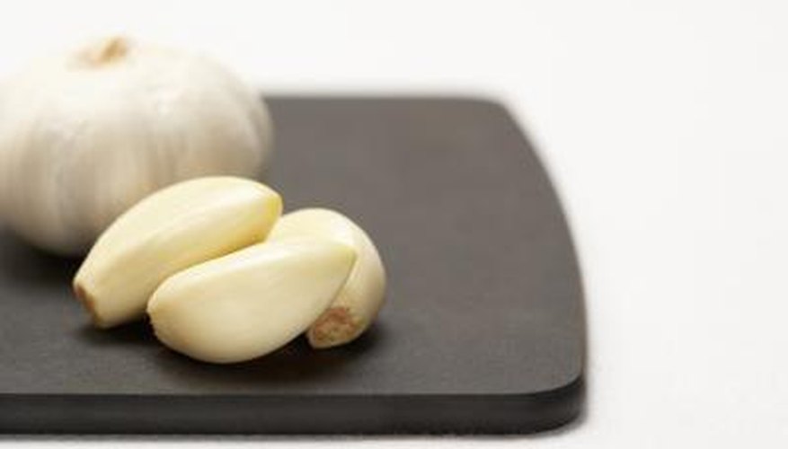 Slugs die quickly when they ingest garlic-based poisons.