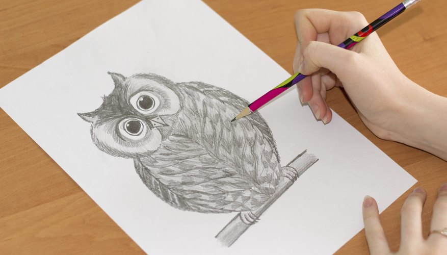 Close-up of owl sketch
