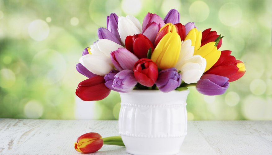Colorful flowers help to brighten the day.