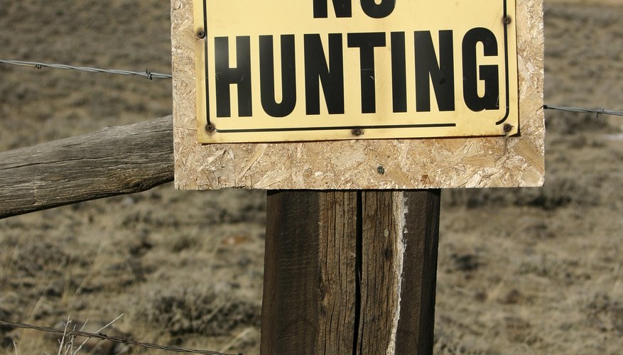 Photo Credit: Liquidphoto/iStock/Getty Images Sunday hunting is not allowed in certain designated areas.
