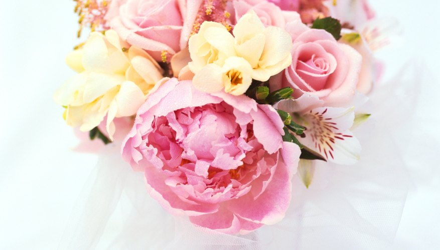 Peonies have often been used to signify peace.