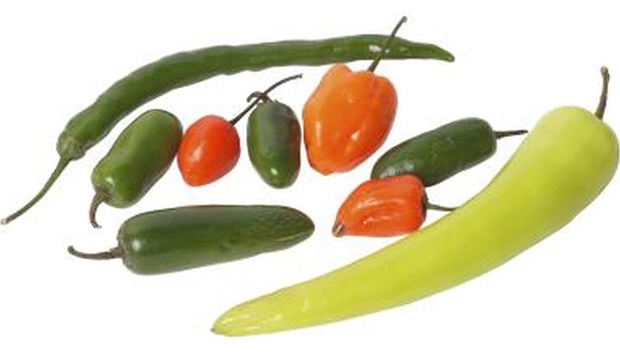 Peppers grow much more quickly with hydroponics.