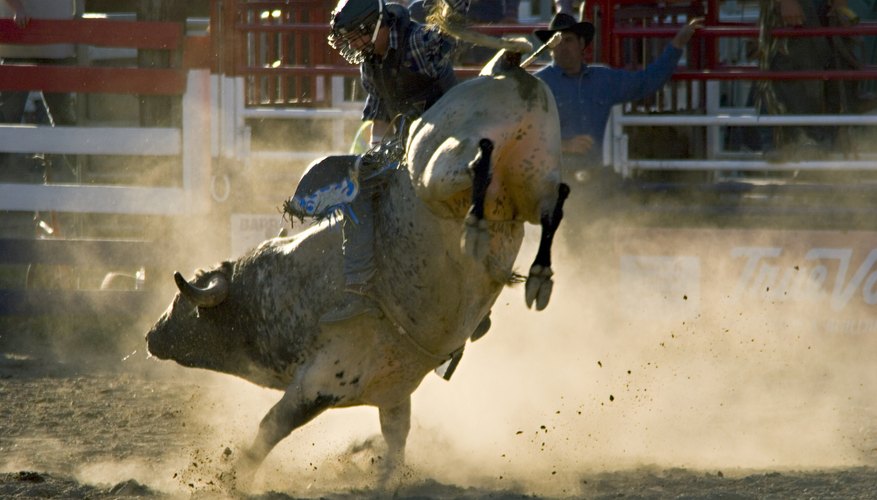 Riding a bucking bull takes courage, strength, skill and stamina.