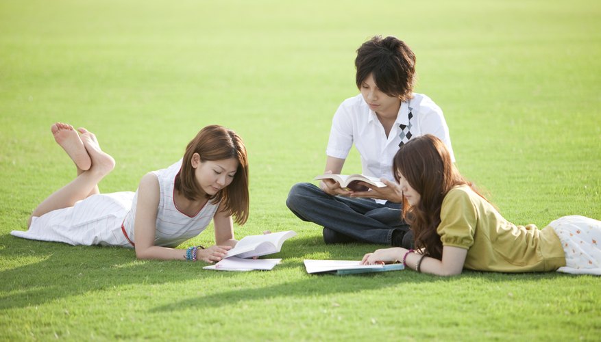 Students are studying on the lawn.