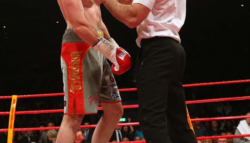 Boxing referees pick up sizeable fees for world title fights.