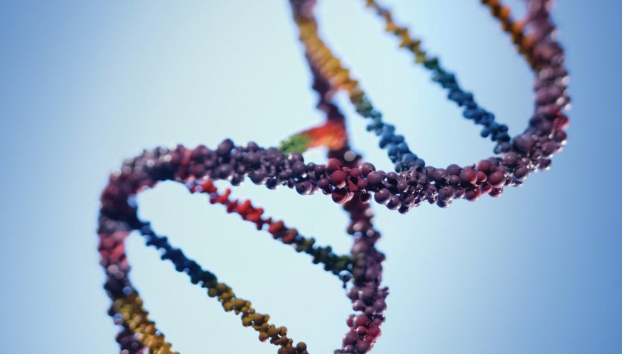 How UV Light Damages DNA: A Quick and Easy Guide