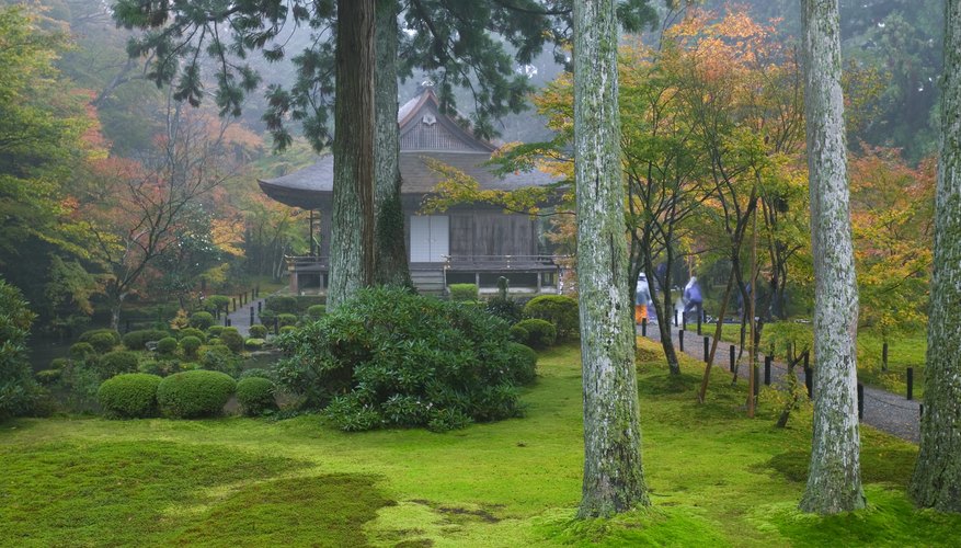 Kyoto is one of the most beautiful cities in the world.